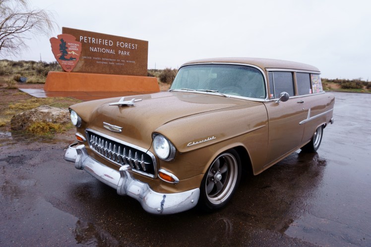 Petrified Forest National Park.JPG